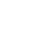Icone facebook