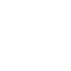 Icone instagram